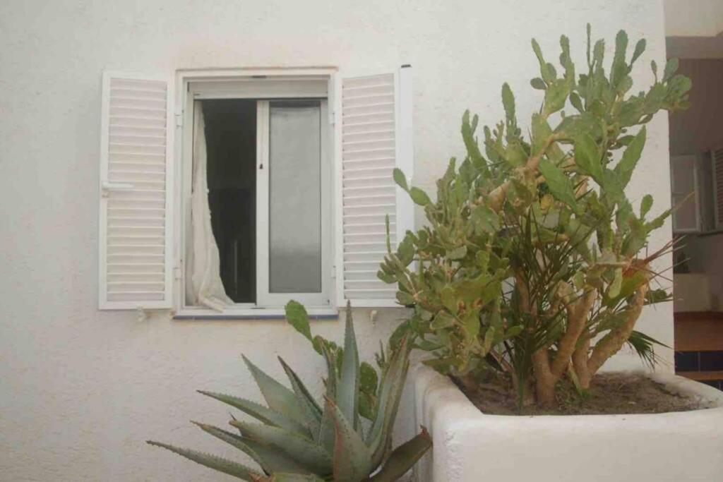 Apartamento A 2 Minutos Andando A La Playa. La Isleta del Moro Zewnętrze zdjęcie